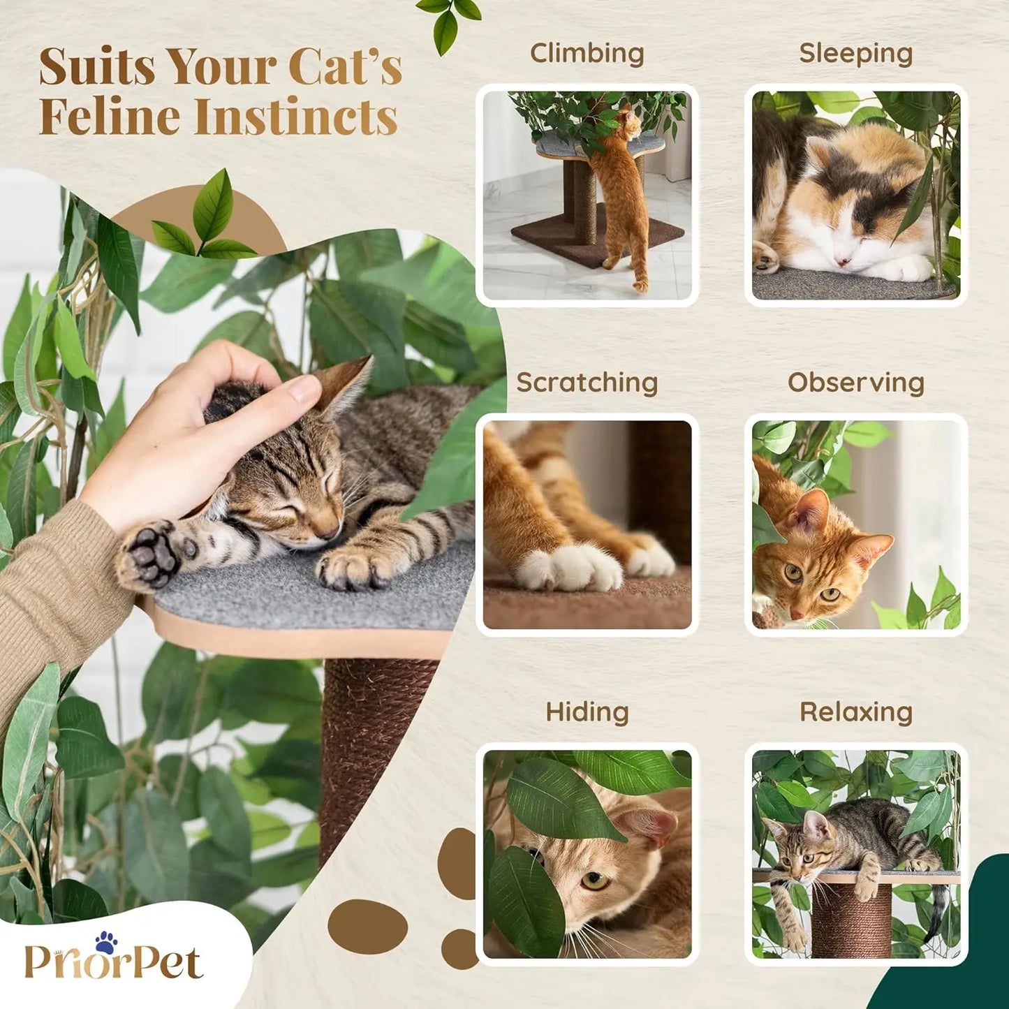 Stable Cat Tree With Leaves, Space Saving 4 Levels and Scratching Posts