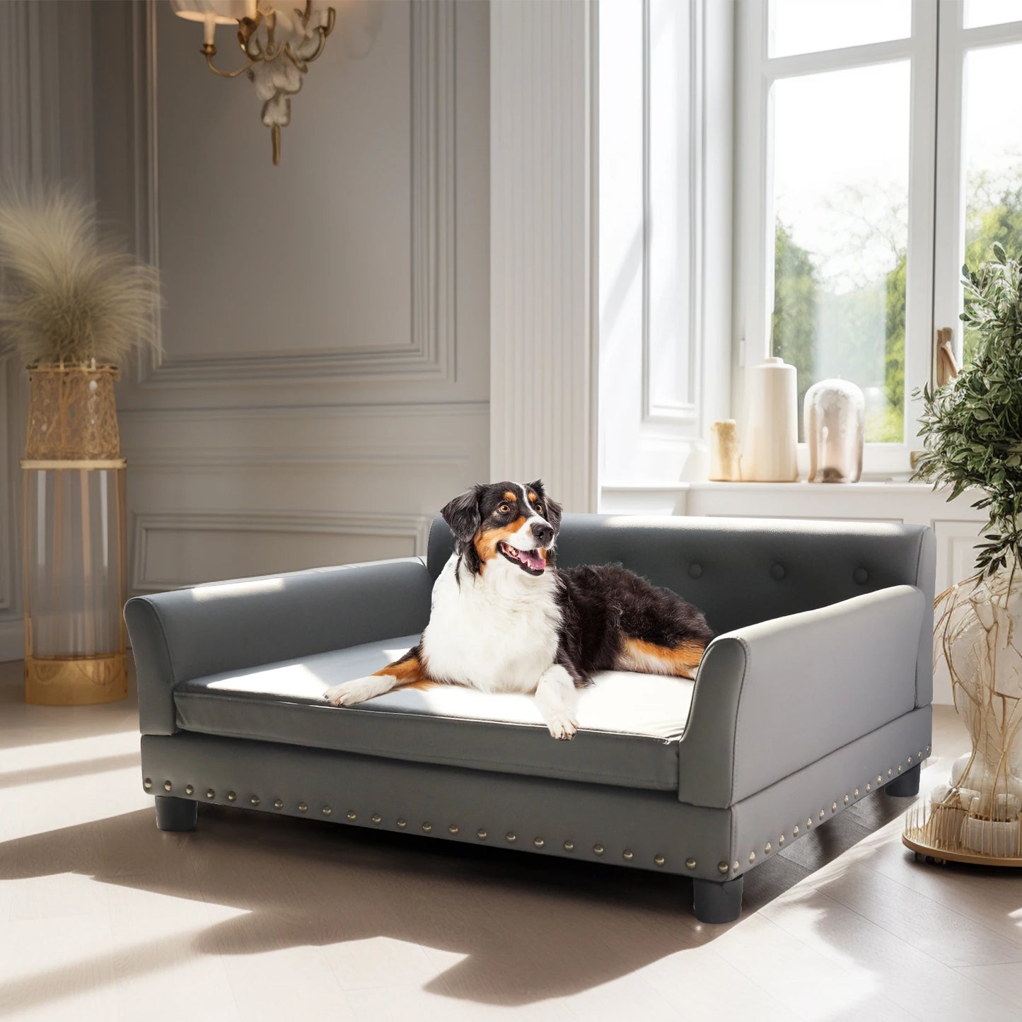 BINGOPAW Elevated Rectangle Dog Bed And Sofa For Durable Comfort
