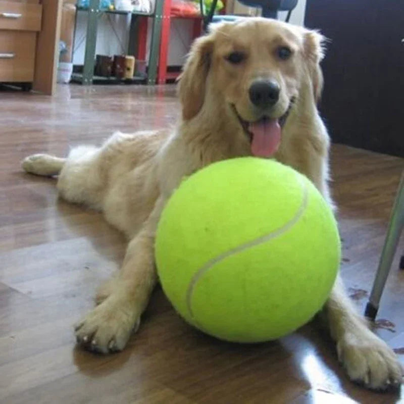 Shunmaii Tennis Ball Dog Chew Toy Interactive Outdoor Play