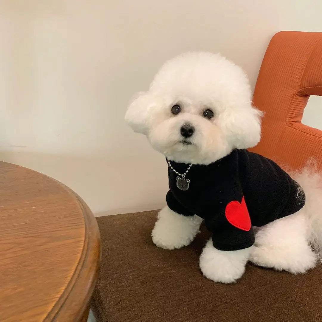 DOGGYZSTYLECN Winter Embroidered Heart Patch Shirt for Dogs