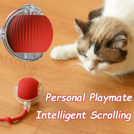 Interactive Cat Toys Teaser Ball and Rotating Stick For Kittens