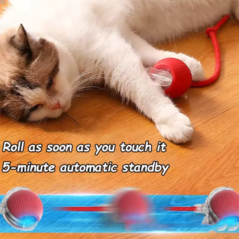 Interactive Cat Toys Teaser Ball and Rotating Stick For Kittens