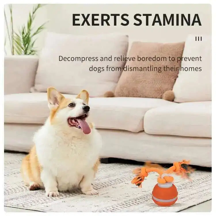 LISM Smart Dog Toy Teaser Ball Motion Activated Squeaky Toy