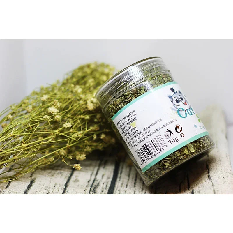Organic Catnip Grass Mint Taste Interactive Cat Toy