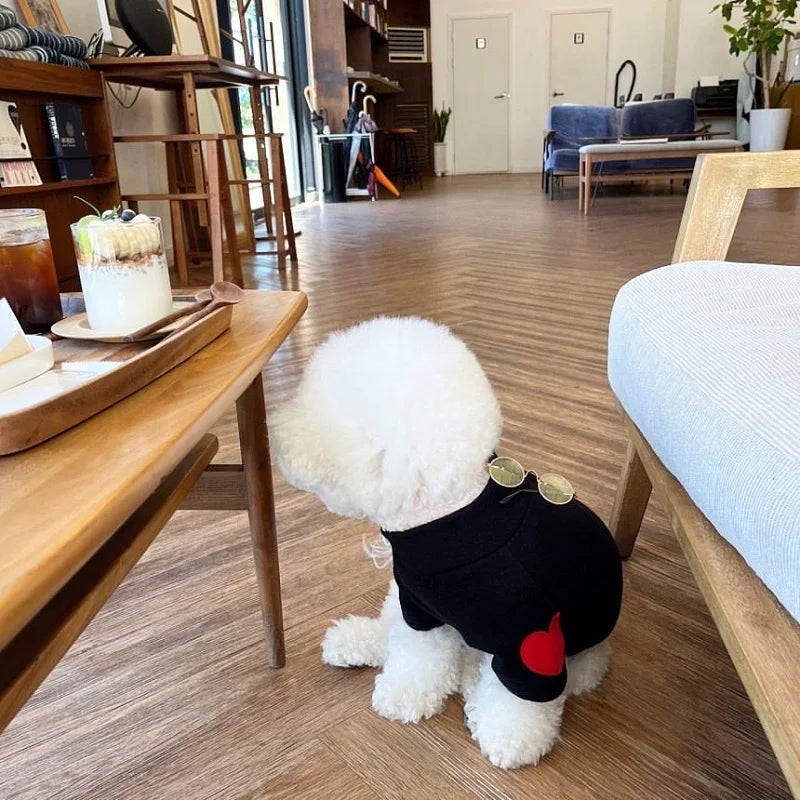 DOGGYZSTYLECN Winter Embroidered Heart Patch Shirt for Dogs