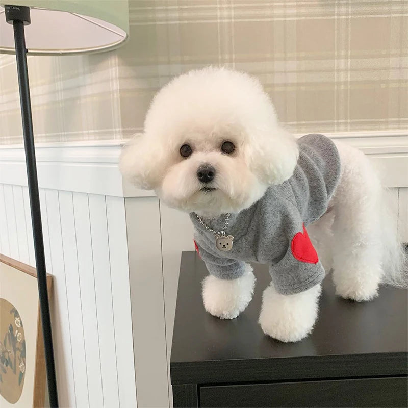 DOGGYZSTYLECN Winter Embroidered Heart Patch Shirt for Dogs