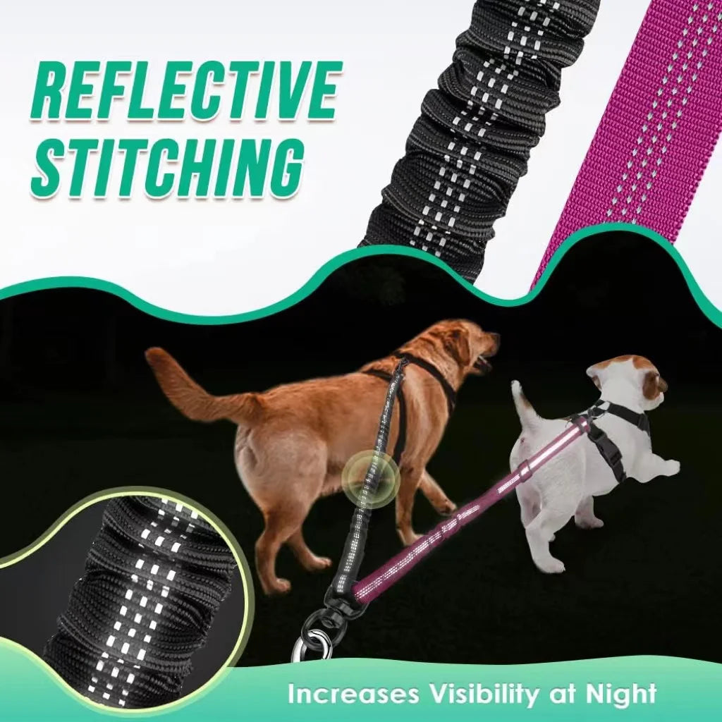 DCLOUDCN Dual Dog Leash Attachment With Shock Absorbing Bungee