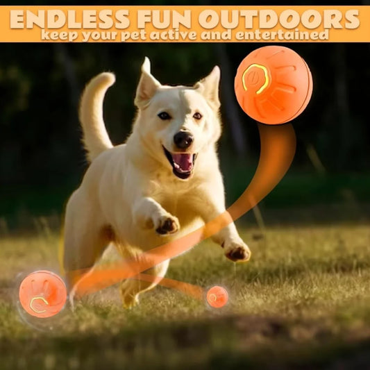 Smart Bouncing Electric Pet Ball Toy For Cats And Dogs