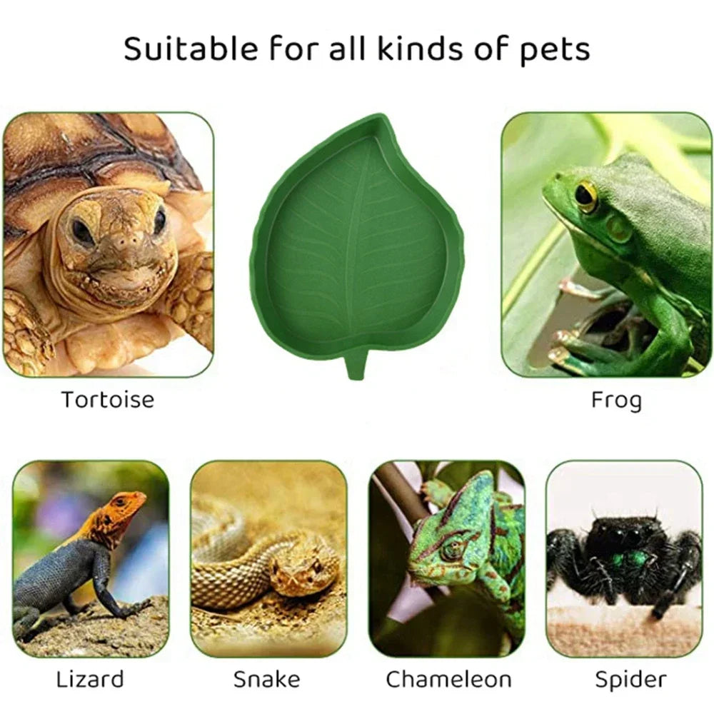 Leaf Shape Reptile Feeder And Water Bowl Durable For Pets