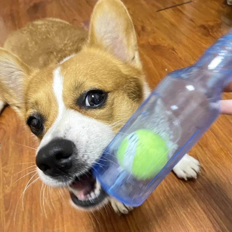 TPR Beer Bottle Chew Toy With Tennis Ball For Dogs
