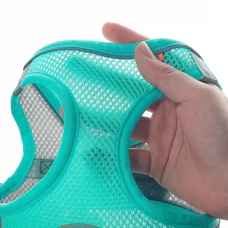 NONECN Puppy Harness Set Adjustable Quick Release Vest Small Dogs