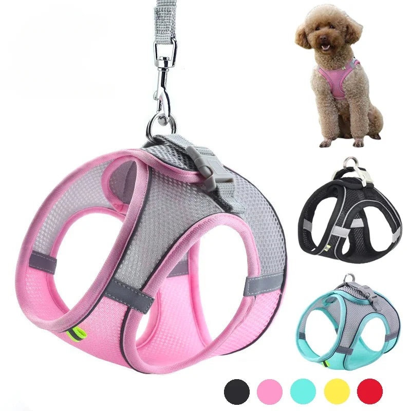 NONECN Puppy Harness Set Adjustable Quick Release Vest Small Dogs