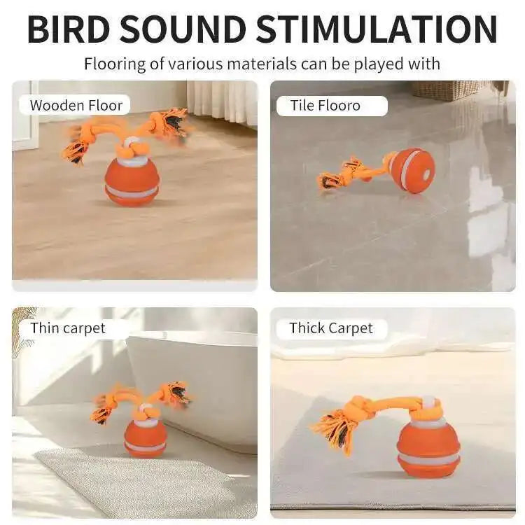 LISM Smart Dog Toy Teaser Ball Motion Activated Squeaky Toy