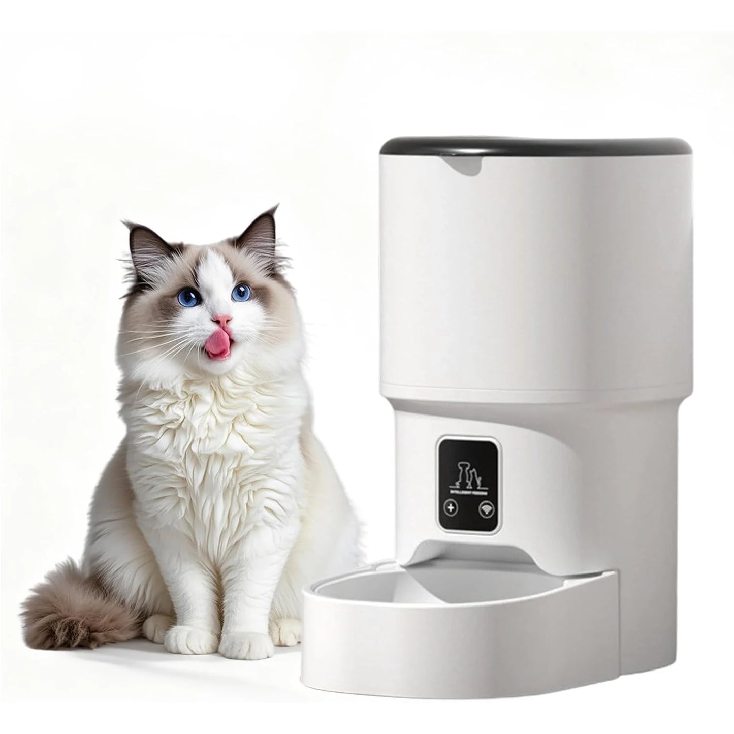 HiMISS Programmable Automatic Pet Feeder for Small Dogs and Cats