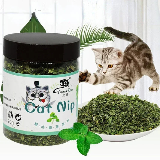 Organic Catnip Grass Mint Taste Interactive Cat Toy