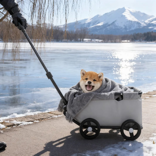 Foldable Dog Stroller for Small Pets
