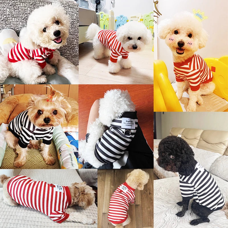 Winter Dog Hoodie Cute Cartoon Coat For Small Dogs