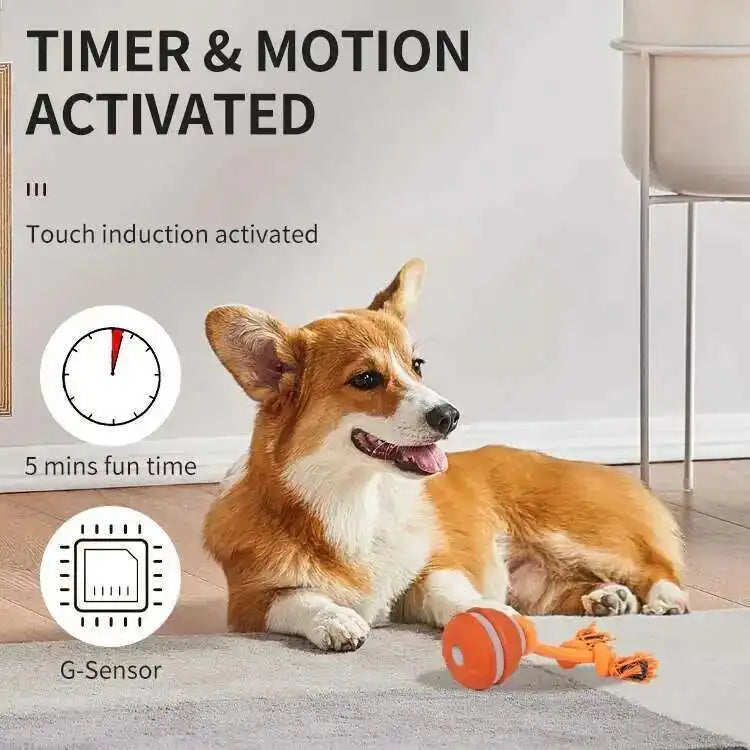 LISM Smart Dog Toy Teaser Ball Motion Activated Squeaky Toy