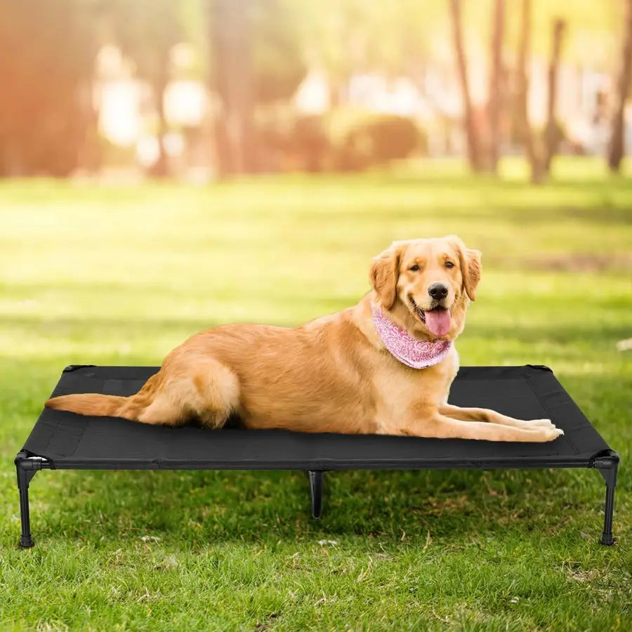 Outdoor Large Raised Dog Cot With Washable Mesh