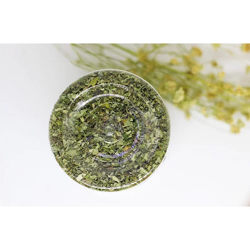 Organic Catnip Grass Mint Taste Interactive Cat Toy